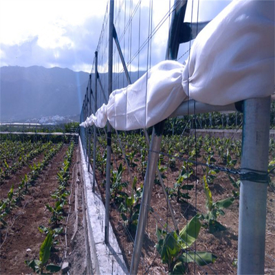 Monofilament Polymer Wire For Agriculture 1.8mm For Tunnel Houses